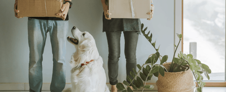Everything You Need to Know About Renting With Pets
