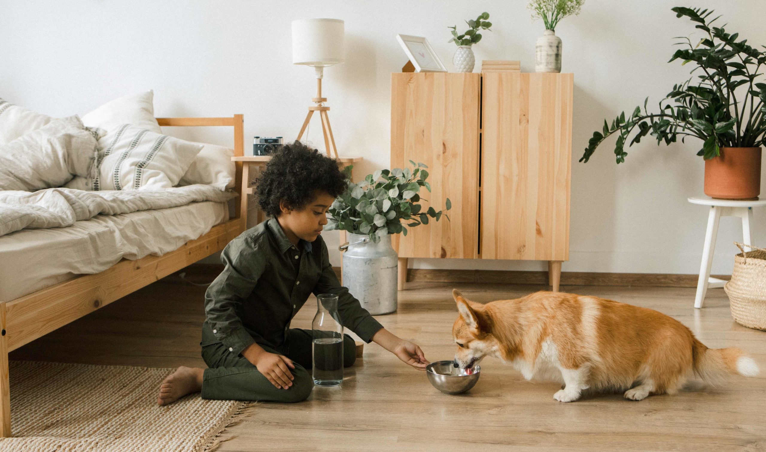 Navigating Pet-Friendly Apartments: What to Ask When Searching for Your Ideal Home